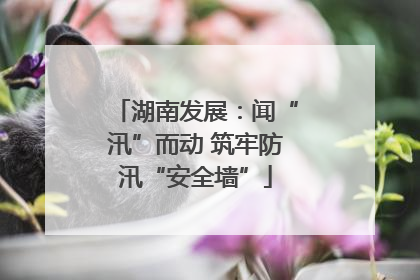 湖南发展：闻“汛”而动 筑牢防汛“安全墙”
