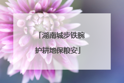 湖南城步铁腕护耕地保粮安