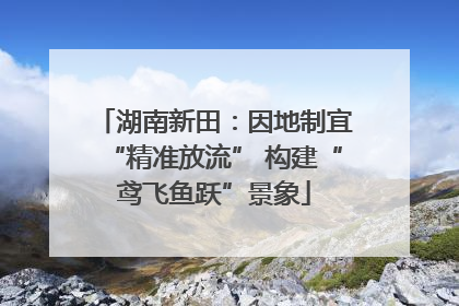 湖南新田：因地制宜“精准放流” 构建“鸢飞鱼跃”景象