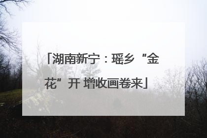 湖南新宁：瑶乡“金花”开 增收画卷来