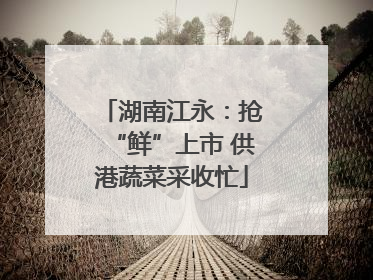 湖南江永：抢“鲜”上市 供港蔬菜采收忙