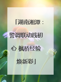 湖南湘潭：警调联动践初心 枫桥经验焕新彩