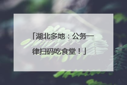 湖北多地：公务一律扫码吃食堂！