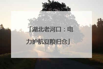 湖北老河口：电力护航夏粮归仓