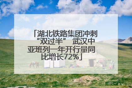 湖北铁路集团冲刺“双过半” 武汉中亚班列一年开行量同比增长72%