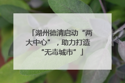 湖州德清启动“两大中心”，助力打造“无毒城市”