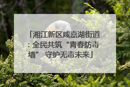 湘江新区咸嘉湖街道：全民共筑“青春防毒墙” 守护无毒未来