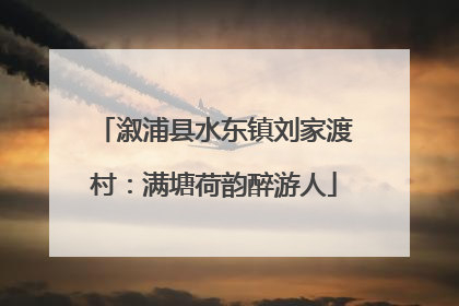 溆浦县水东镇刘家渡村：满塘荷韵醉游人