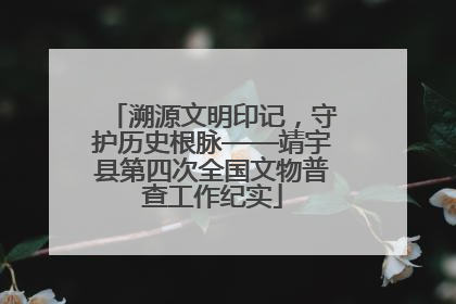 溯源文明印记，守护历史根脉——靖宇县第四次全国文物普查工作纪实