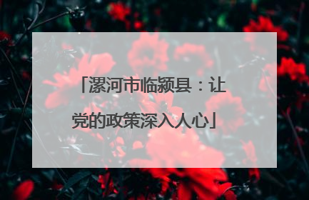 漯河市临颍县：让党的政策深入人心