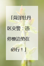 菏泽牡丹区交警：违停整治势在必行！