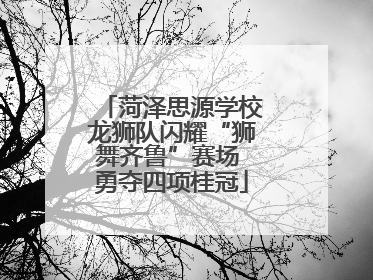 菏泽思源学校龙狮队闪耀“狮舞齐鲁”赛场 勇夺四项桂冠