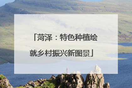 菏泽：特色种植绘就乡村振兴新图景