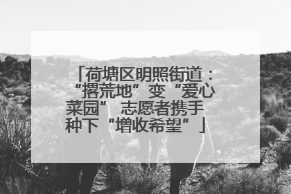 荷塘区明照街道：“撂荒地”变“爱心菜园” 志愿者携手种下“增收希望”