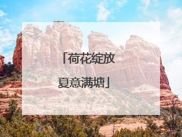 荷花绽放 夏意满塘