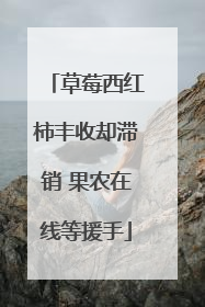 草莓西红柿丰收却滞销 果农在线等援手