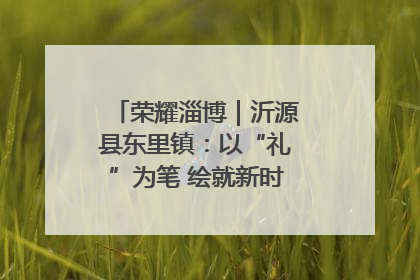 荣耀淄博｜沂源县东里镇：以“礼”为笔 绘就新时代乡风文明画卷
