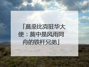 莫桑比克驻华大使：莫中是风雨同舟的铁杆兄弟