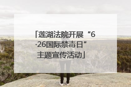 莲湖法院开展“6·26国际禁毒日”主题宣传活动