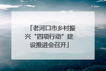 老河口市乡村振兴“四项行动”建设推进会召开