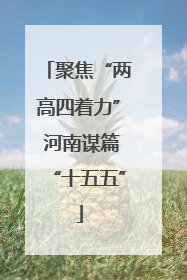 聚焦“两高四着力” 河南谋篇“十五五”