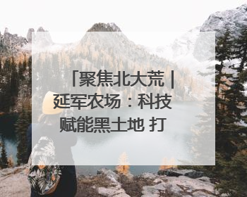聚焦北大荒｜延军农场：科技赋能黑土地 打造现代农业“智慧芯”