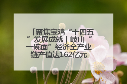 聚焦宝鸡“十四五”发展成就丨岐山“一碗面”经济全产业链产值达162亿元 入选全国典型县