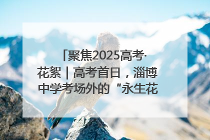 聚焦2025高考·花絮｜高考首日，淄博中学考场外的“永生花”传递温暖与祝福