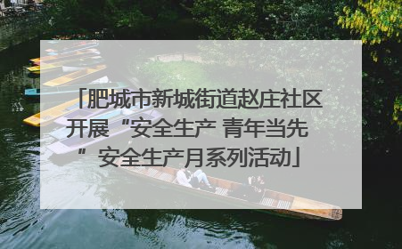 肥城市新城街道赵庄社区开展“安全生产 青年当先”安全生产月系列活动