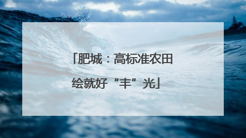 肥城：高标准农田绘就好“丰”光