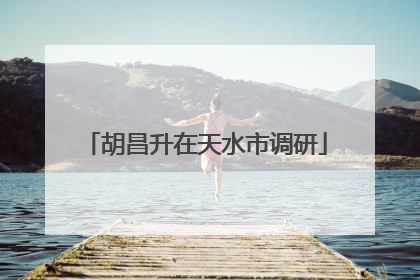 胡昌升在天水市调研