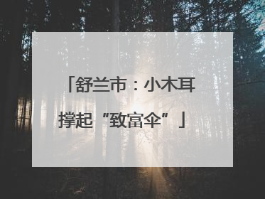 舒兰市：小木耳撑起“致富伞”