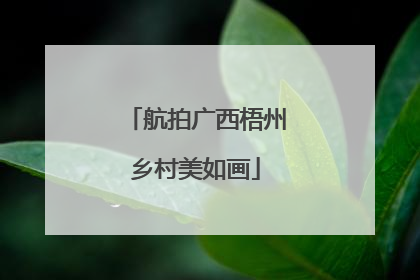 航拍广西梧州乡村美如画