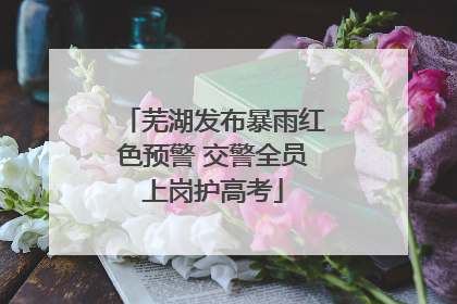 芜湖发布暴雨红色预警 交警全员上岗护高考