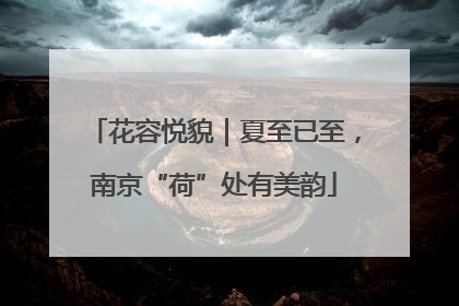 花容悦貌｜夏至已至，南京“荷”处有美韵