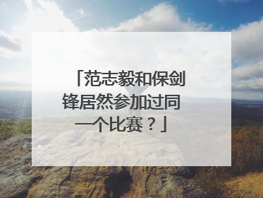 范志毅和保剑锋居然参加过同一个比赛？