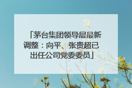 茅台集团领导层最新调整：向平、张贵超已出任公司党委委员