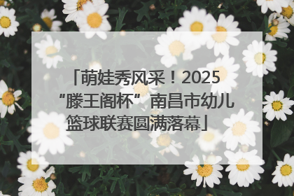 萌娃秀风采！2025“滕王阁杯”南昌市幼儿篮球联赛圆满落幕
