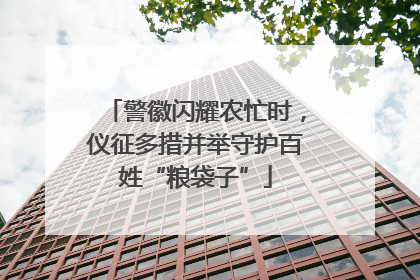 警徽闪耀农忙时，仪征多措并举守护百姓“粮袋子”