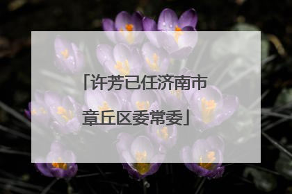 许芳已任济南市章丘区委常委