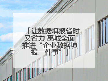 让数据填报省时又省力 禹城全面推进“企业数据填报一件事”