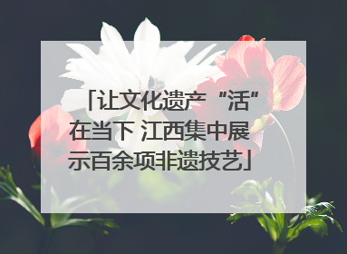 让文化遗产“活”在当下 江西集中展示百余项非遗技艺