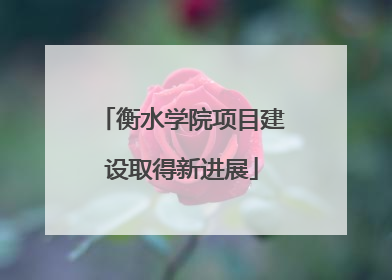 衡水学院项目建设取得新进展