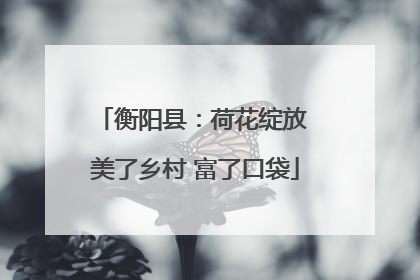 衡阳县：荷花绽放 美了乡村 富了口袋