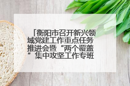 衡阳市召开新兴领域党建工作重点任务推进会暨“两个覆盖”集中攻坚工作专班 第一次会议