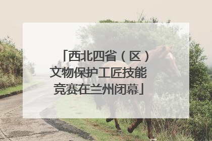 西北四省（区）文物保护工匠技能竞赛在兰州闭幕