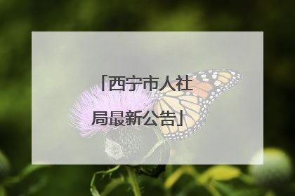 西宁市人社局最新公告
