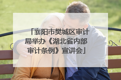 襄阳市樊城区审计局举办《湖北省内部审计条例》宣讲会