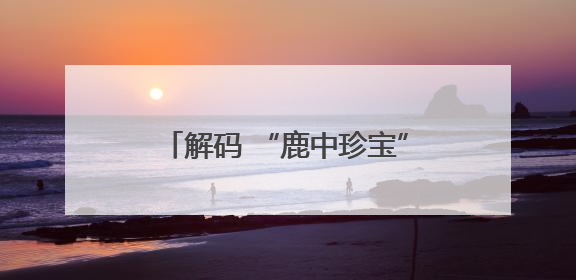 解码 “鹿中珍宝”：尊禧鹿研究院以科技力量重塑产品价值
