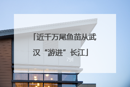 近千万尾鱼苗从武汉“游进”长江